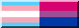 trans flag